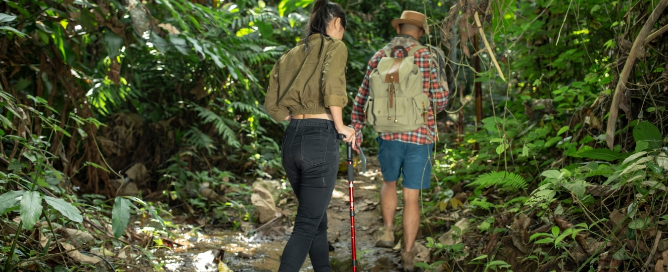 Nature Walk at Dapoli